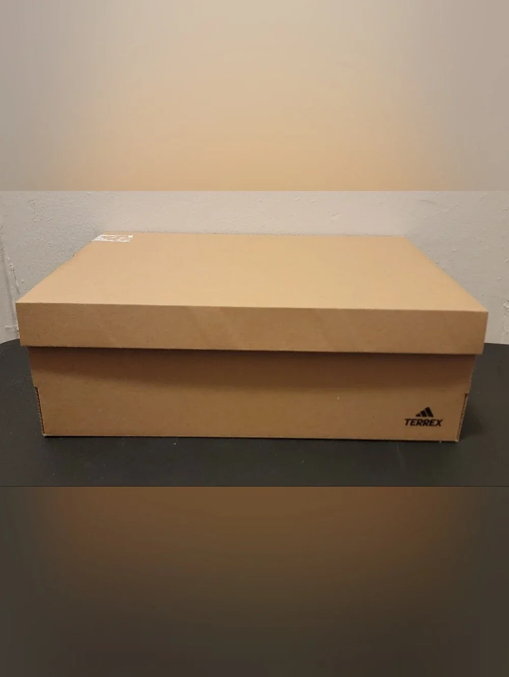 adidas Terrex A×4 Wide GW6900